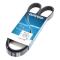 DAYCO 6PK1152 - Correa trapecial