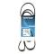 DAYCO 6PK1613 - Correa trapecial